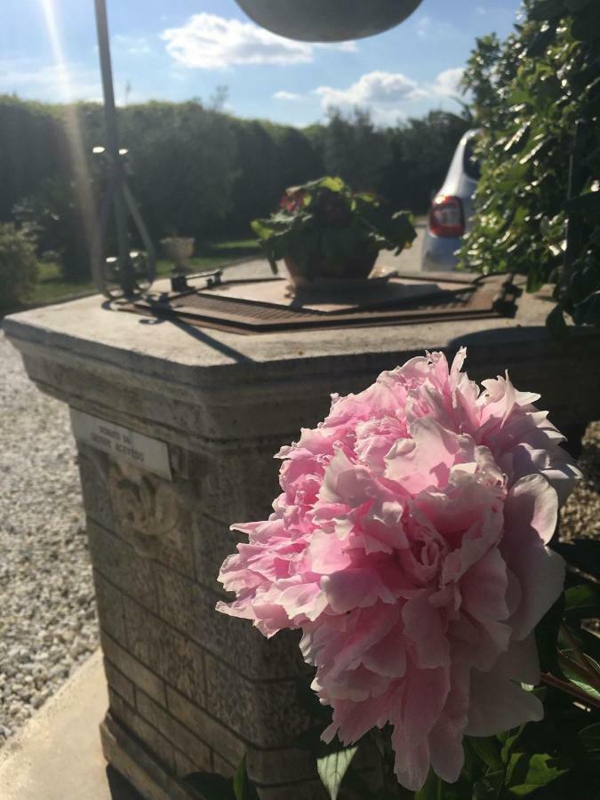 Tenuta La Rosa B&B 比森齐奥营 外观 照片