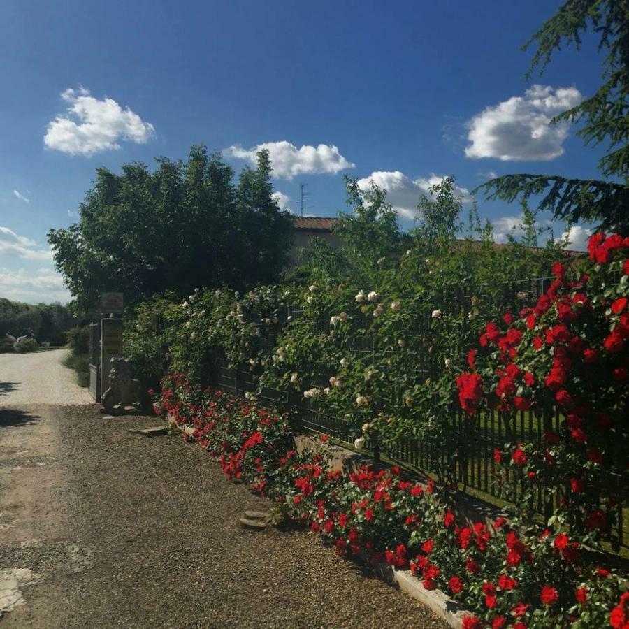Tenuta La Rosa B&B 比森齐奥营 外观 照片